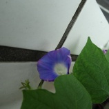 『運命の読み方』の画像