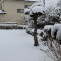 朝起きたら予想以上の大雪（太田市）