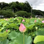 おやじ歳時記
