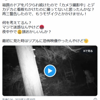 □ WHAT CAN I DO ? ／ KEIKO MYRAH TOHYAMA（当山 “マイラ” 恵子