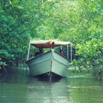 nanyoushoubinのブログ