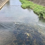 だいじろう日和。