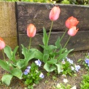 金庫屋　金庫修理のお問い合わせ