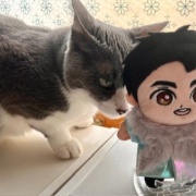 こひろみくん（郷ひろみさんのぬいぐるみ）の服作り⑫