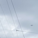    　　　フシ穴の眼 〜スポーツ疾風怒濤編〜