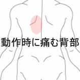 『長時間の下向き作業後に生じた左背部から肩甲骨の強いつっぱり痛 登別室蘭すのさき鍼灸整骨院 症例報告』の画像