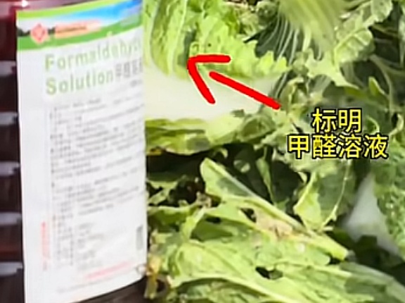 中国の白菜ホルムアルデヒド漬け動画はどこ？業者は誰で場所は？日本で中国産白菜を使う会社・キムチへの影響と発がん性はどうなのか徹底調査
