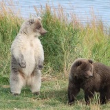 ãåç»ãããã¯ããµã³ããã¯ãç§ç°å¸è¡å°ãæ®éã«éã³å ´ã¨ããï½ï½ï½ï½