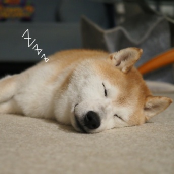 長い夜…