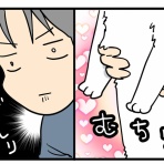 くららんち。～B型夫婦と猫２匹の日常～