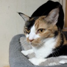 あきちゃん　と　かえでちゃん