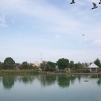 KAMONOMANIA　カモノマニア