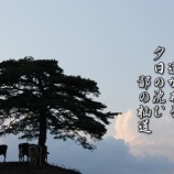 『熊と耕作放棄地対策』の画像