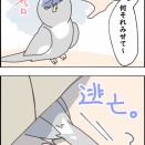 逃げるクスィー