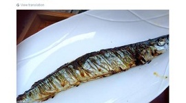 【バカッター】民主党・蓮舫がツイッターに焼きサンマ写真を投稿 → 「頭の向きが逆」とツッコミ殺到 → ツイート削除して証拠隠滅を図るｗｗｗｗｗ