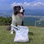 ひろいびと 清掃登山犬達と三重県の山ゴミ拾い清掃活動記録
