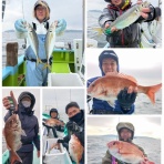 新安浦港・長谷川丸釣果