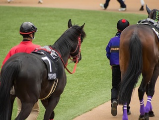 ウマ娘から競馬見始めた人間が知らなさそうなこと