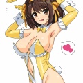 バニーハルヒさん