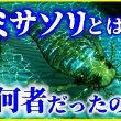 【鹿児島】8000万年前の新種哺乳類の化石発見！！