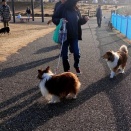 連休最後に公園