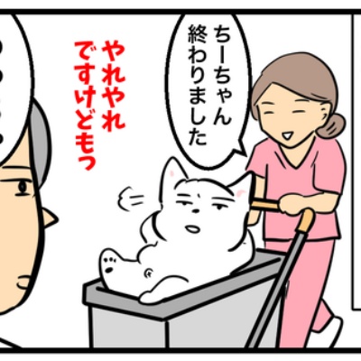 ちーちゃんっ🐾