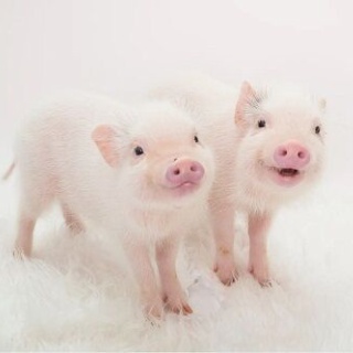 オレ的ゲーム速報＠刃