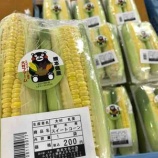 2018.07.05 ɥåǤ٤β