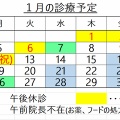 1月の診療予定です