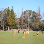 認定こども園 伊敷幼稚園「楽しさと感動の出会い」