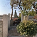 大阪の歴女と歴犬