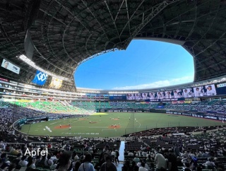 福岡で野球観戦と故郷の味