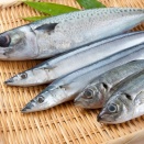 魚に寄生する「アニサキス」は酢＆塩では死滅せず　春以降に増加する“食中毒”を防ぐには