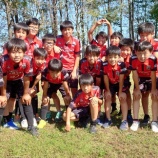 『市リーグお疲れ様でした！』の画像