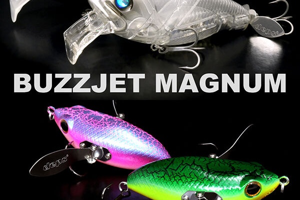 Depsスタッフによるオフィシャルブログ ウェブメンバー