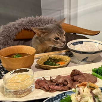 麦とろ牛タン定食の夜ごはん