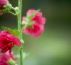 メルマガ７６５号　中国、２９年「重大危機！」　西側がＥＳＧ基準で工業製品排除「輸出急減」