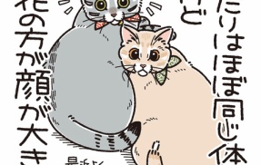 やっぱり兄弟