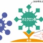 結局、オミクロン株BA.2ってどう違うの？ 専門医・忽那賢志先生の解説