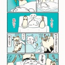 立場が逆になってもお構いなしな猫