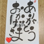 イノシシ＆ブタの　新潟のほほん日記