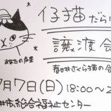 『『仔猫だらけの譲渡会』が7/7(日)18:00～20:00で開催。会場は総合福祉センター（春日井市浅山町）』の画像