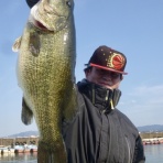 小林貸船釣具店の釣果情報