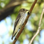 Tokyo_wildbirdpark_blog