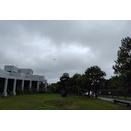 沖縄に関心を寄せた始まり･･･