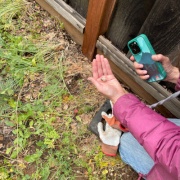 �դ����ɤ��ä�