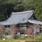 大和路ぶらぶら