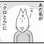 ちくわの穴から星☆を見た　NEW