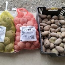 じゃがいも🥔　2026