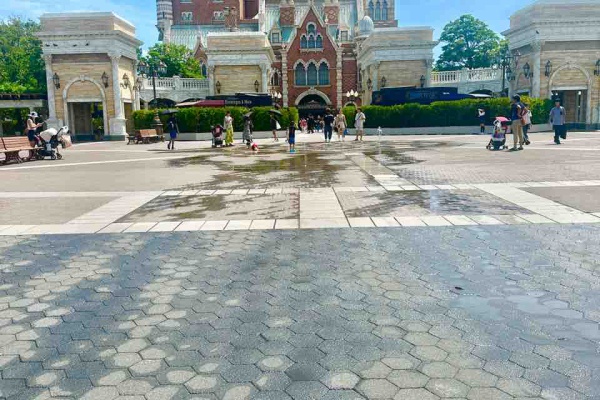 噂のDヲタくんのディズニーレポート
